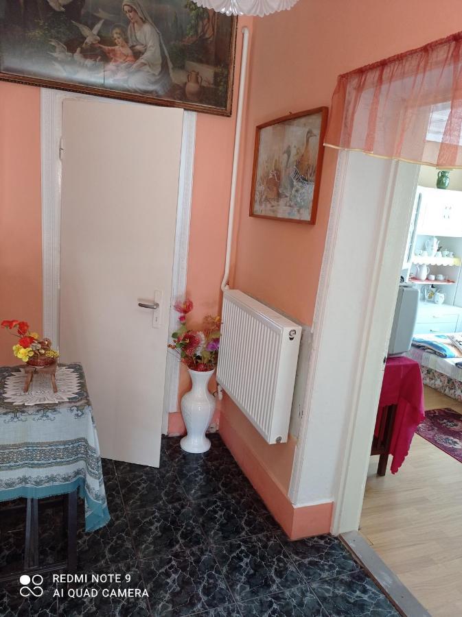 Ferienwohnung Olga Vendeghaz Abádszalók Exterior foto