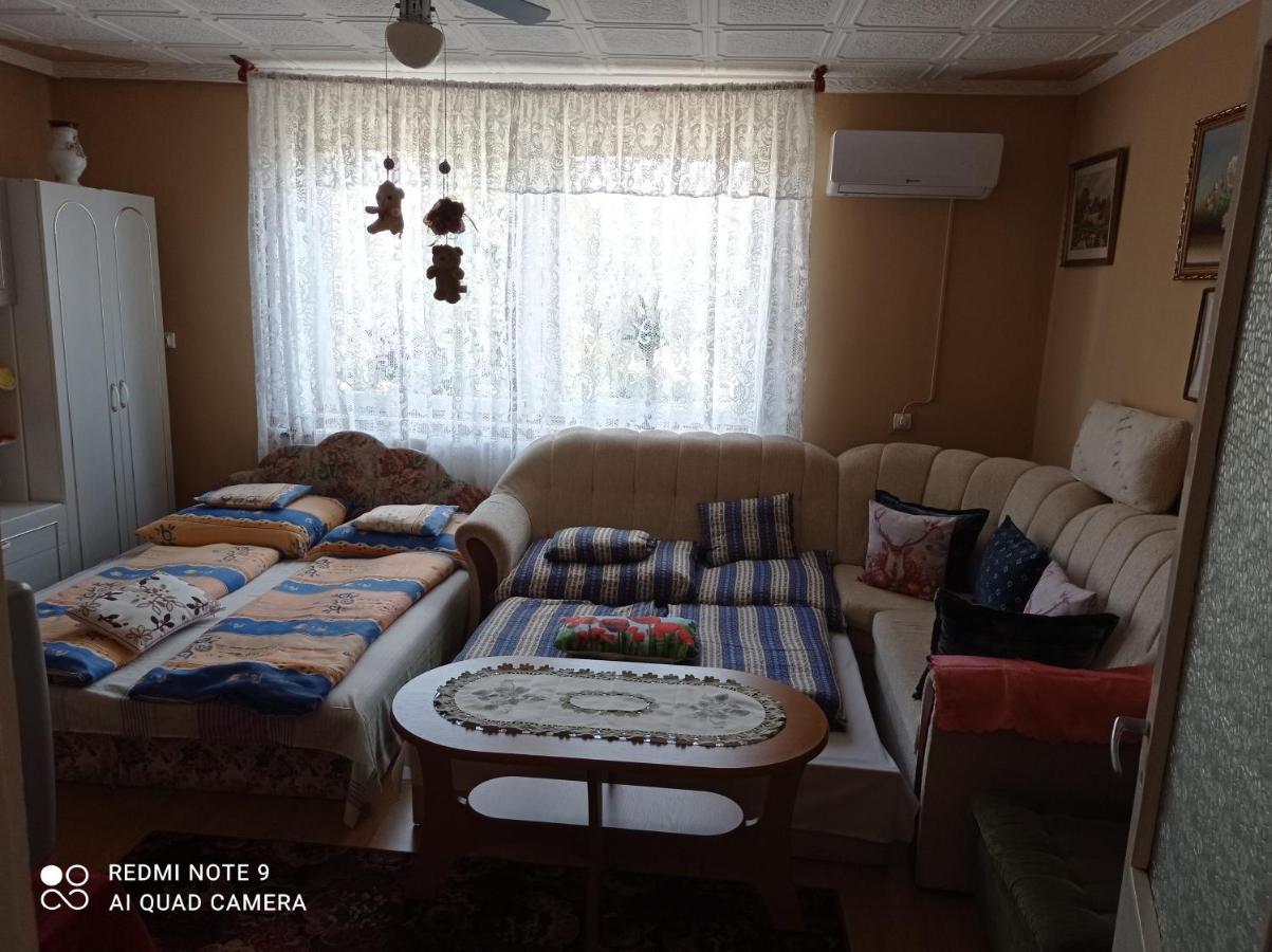 Ferienwohnung Olga Vendeghaz Abádszalók Exterior foto